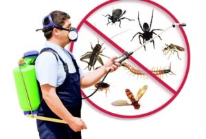 Flying Insects’ Control